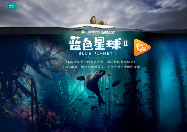 蜜芽最新区域剧照1