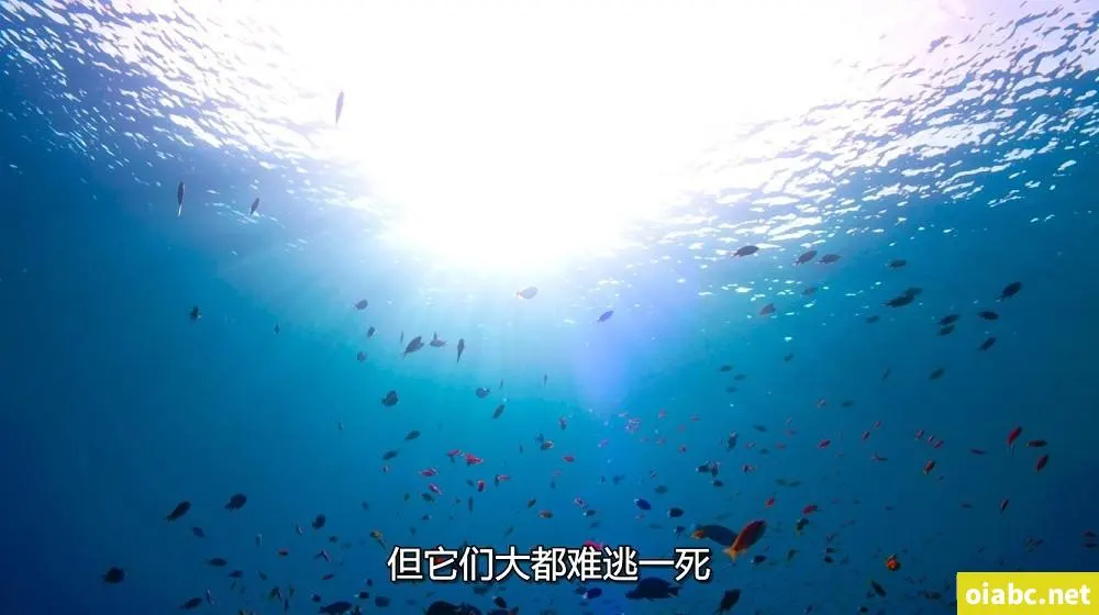 小东西慢慢感受我剧照2